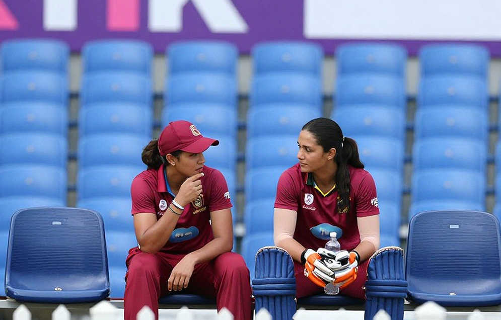 The Discipline of Zero Information Points: The Cricket Analysis That Cannot Begin The Discipline of Zero Information Points: The Cricket Analysis That Cannot Begin